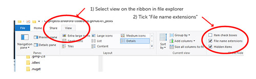 Picture showing how to turn on file extensions in windows explorer